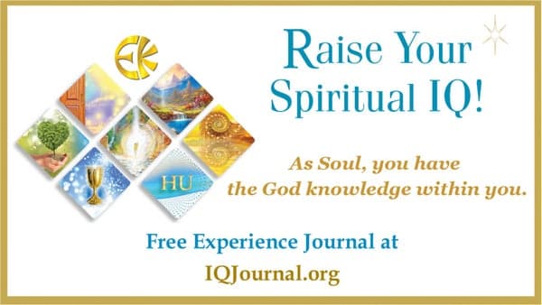 Raise Your Spiritual IQ!—Austin Metaphysical & Holistic Fair