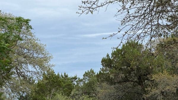 Join us for a peaceful, healing, mostly silent walk