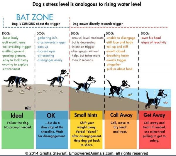 Austin Dog Zone- Reactive Dog Walking Meetup