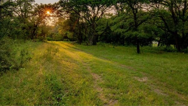 $$ Nature Immersion Walk @ Nalle Bunny Run Preserve
